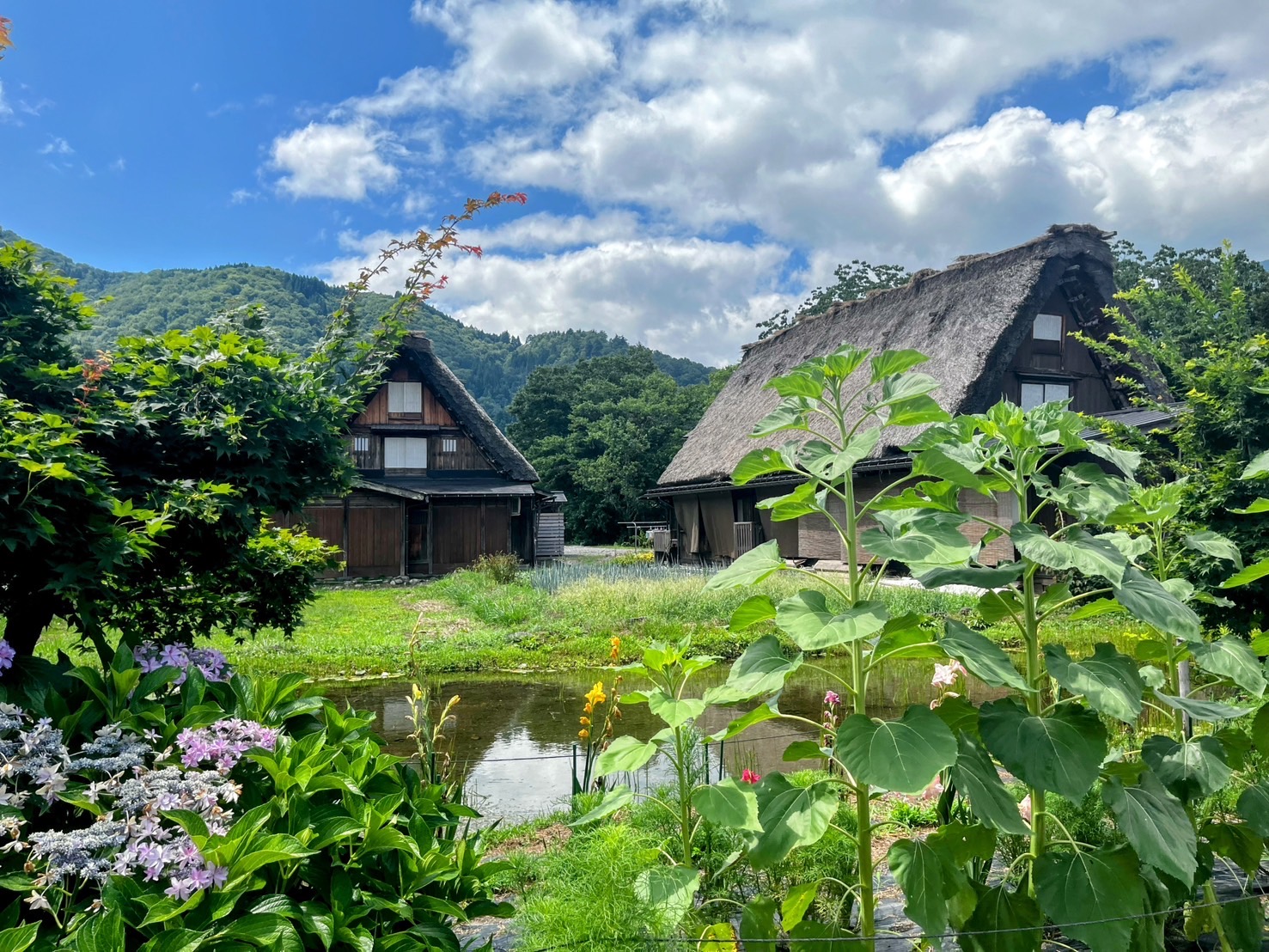 投稿についてもっと詳しく Experiences & Stay