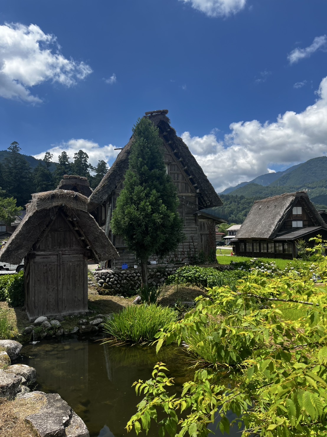 投稿についてもっと詳しく  Culture & Tradition