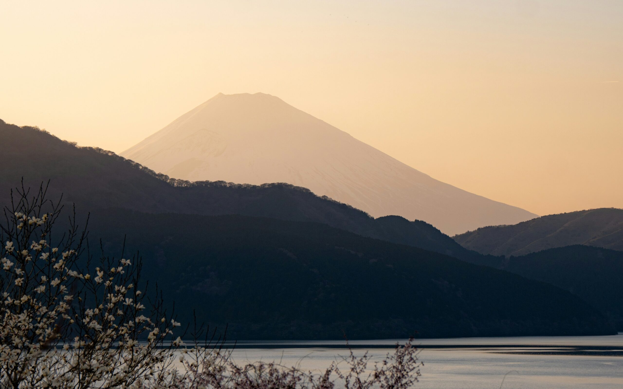投稿についてもっと詳しく Hakone-Mt.Fuji