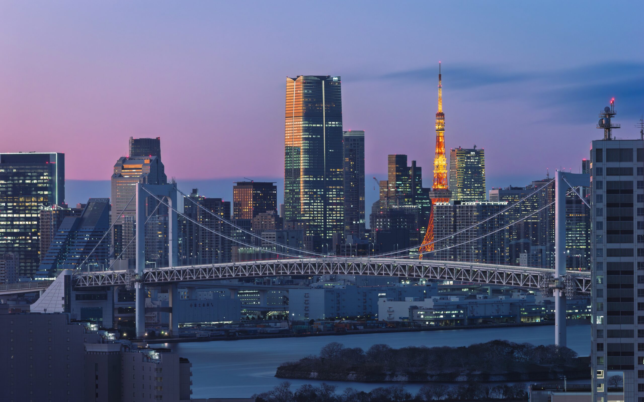 投稿についてもっと詳しく Tokyo